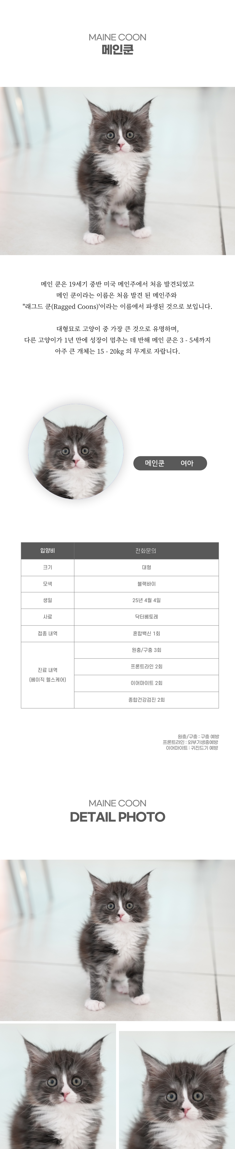 메인쿤_상세이미지_2